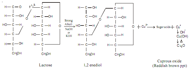 588_Explain Reaction of Fehling solution with lactose.png